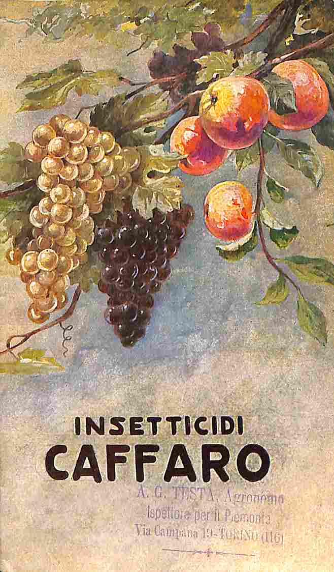 Insetticidi Caffaro (brochure pubblicitaria)